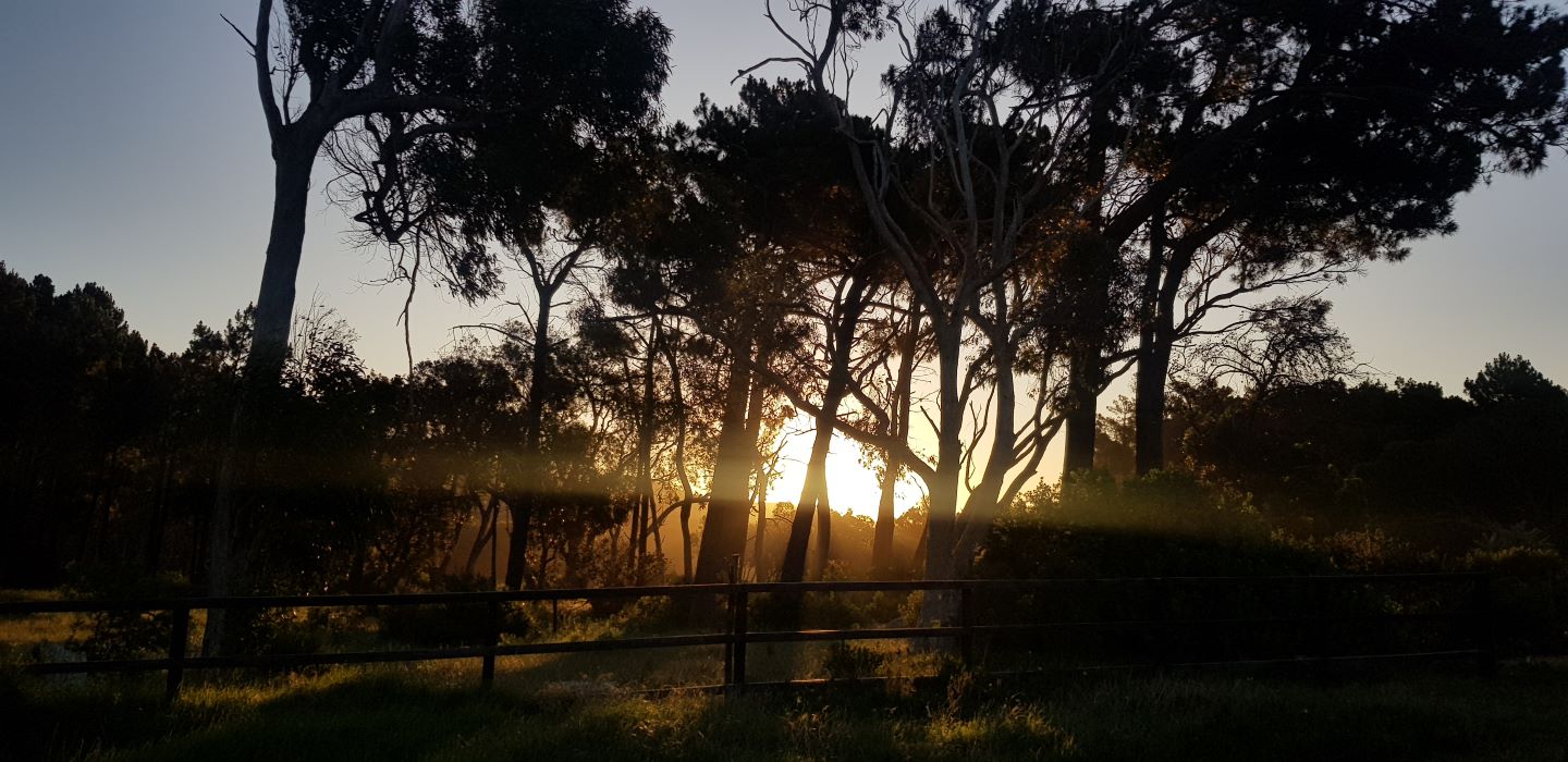 Endings and beginnings