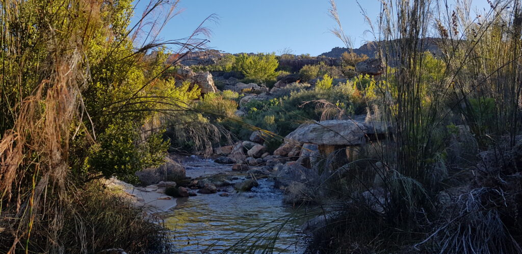 Wilderness area in the Cederberg