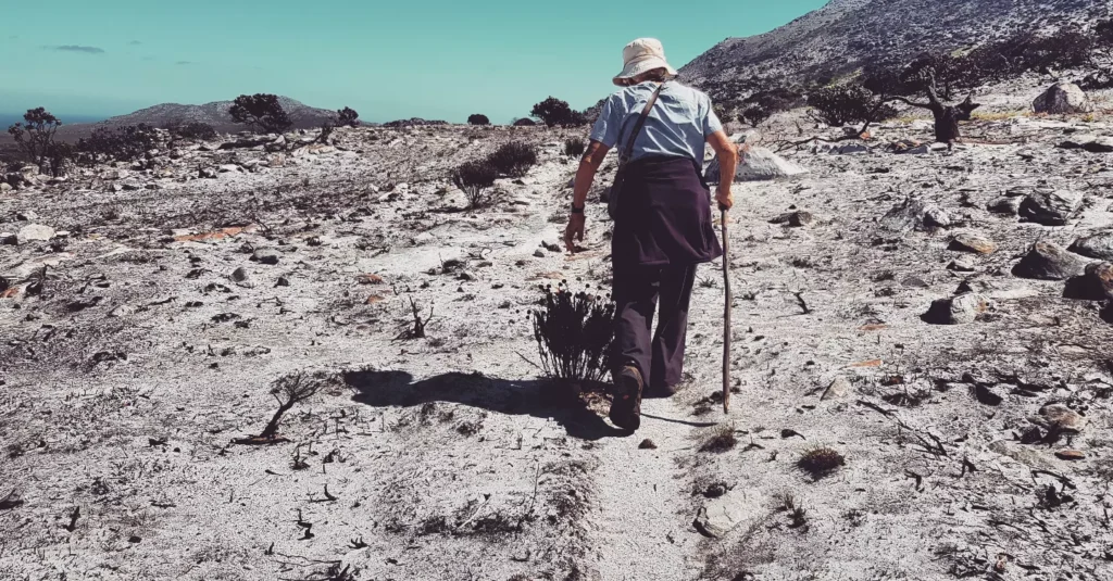 Jen leading the trail on our walk in the Cape Point mountains