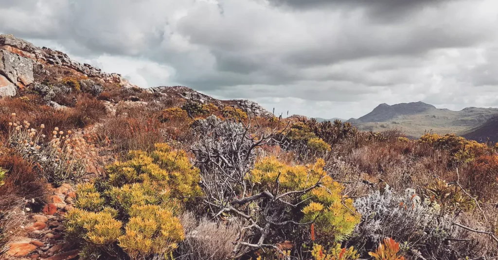 The majestic scenery in Cape Point Reserve