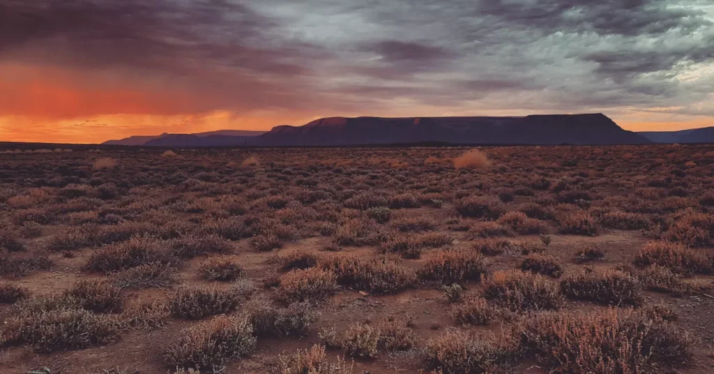 Sunset over the Tankwa Karoo National Park